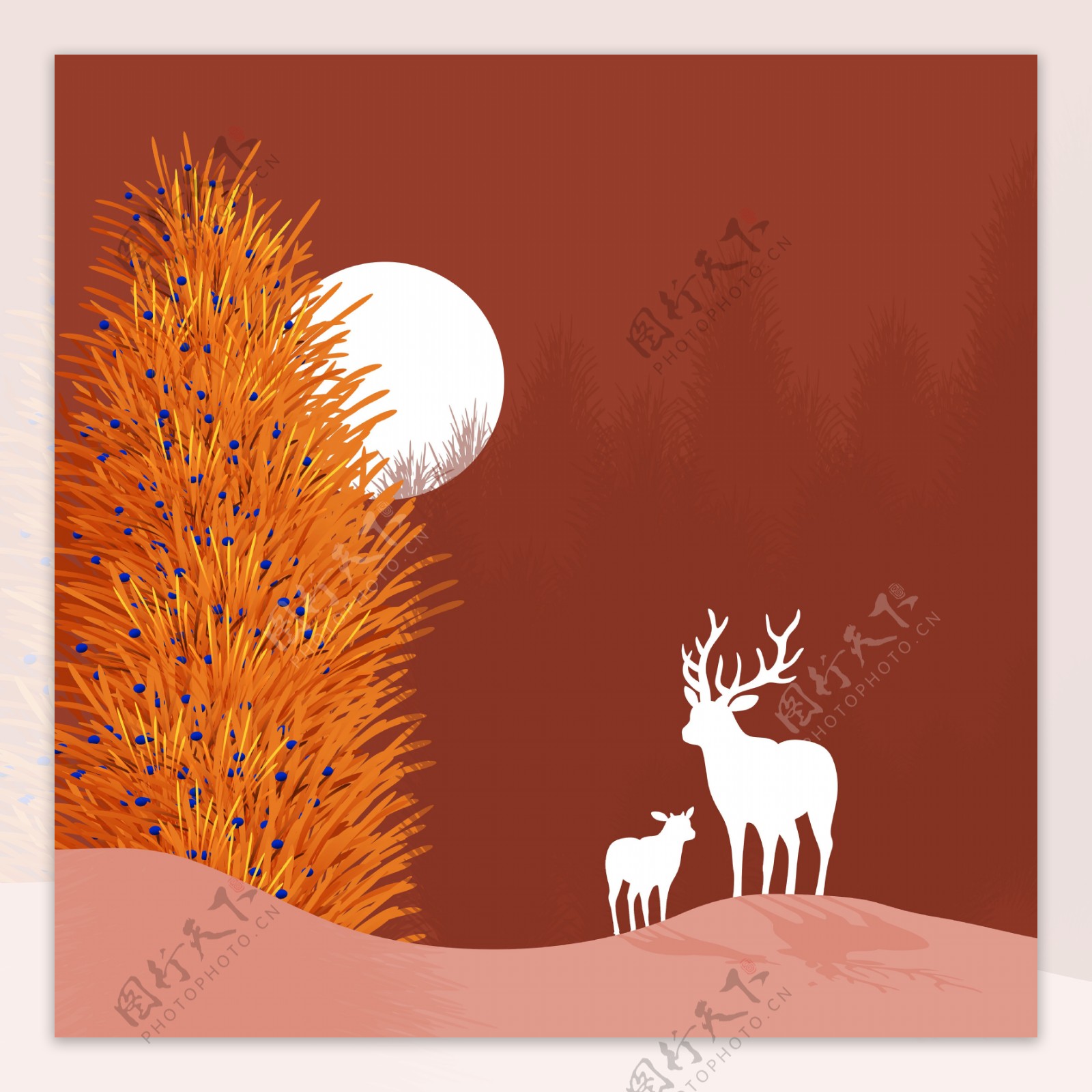 秋天的鹿子插图