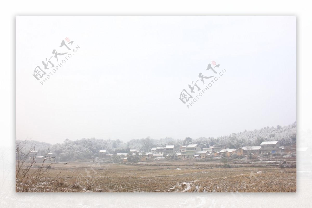 田野的雪景