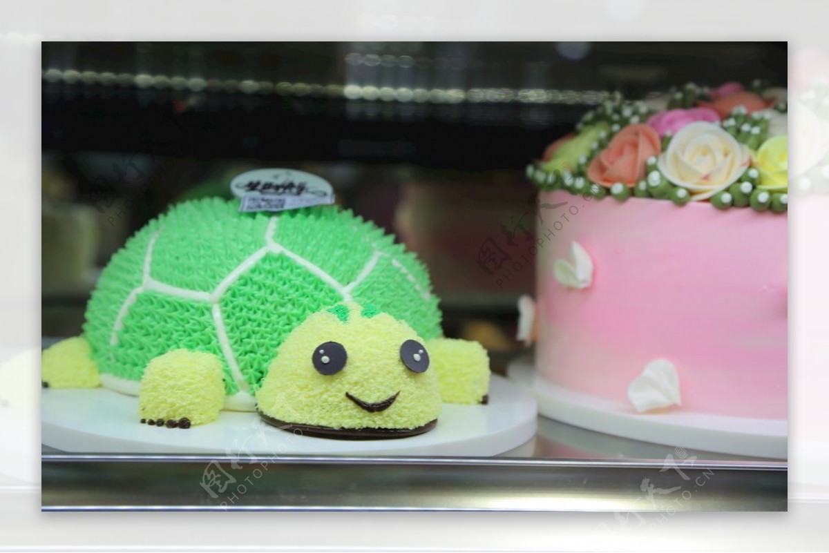 乌龟造型蛋糕摄影