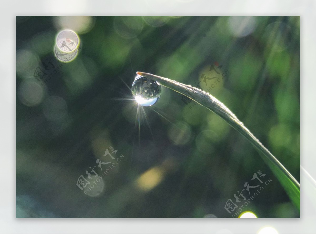 水珠水纹雨滴