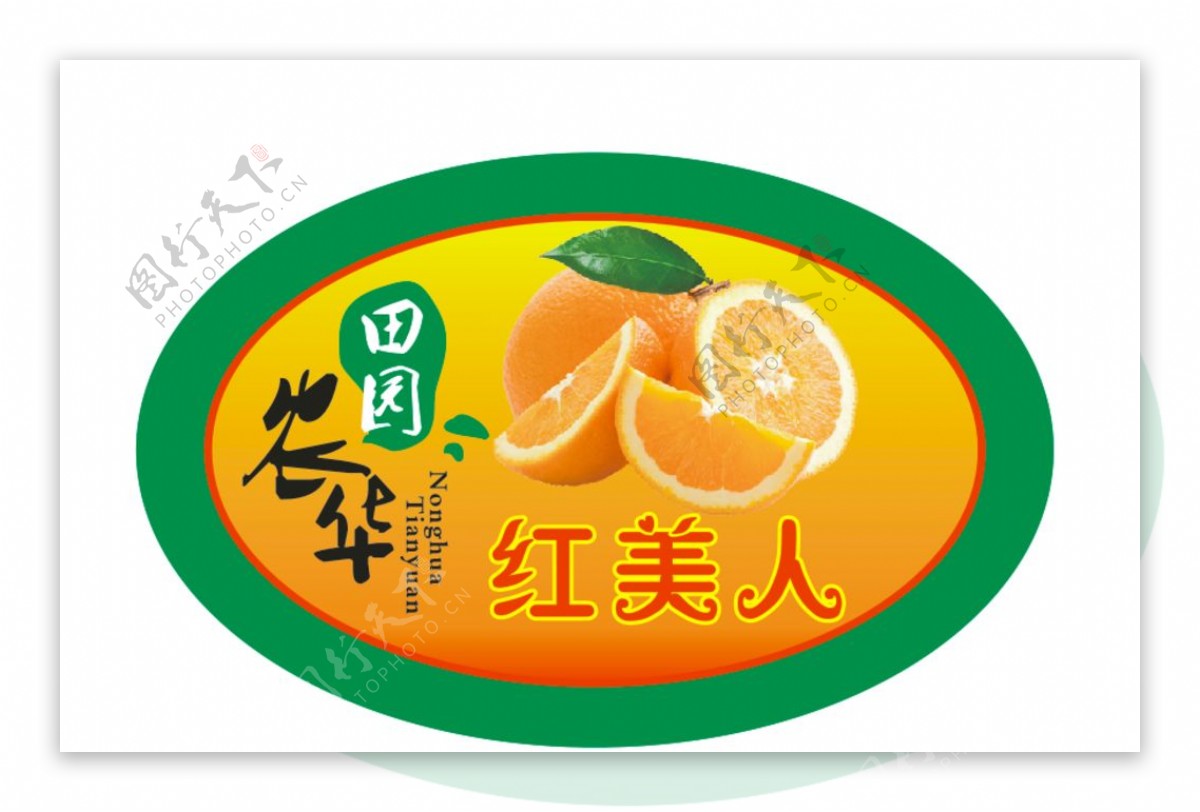 红美人柑橘水果商标