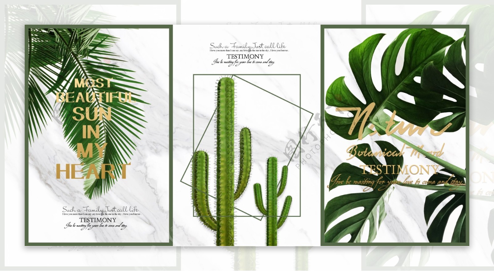 清爽小清新植物装饰画