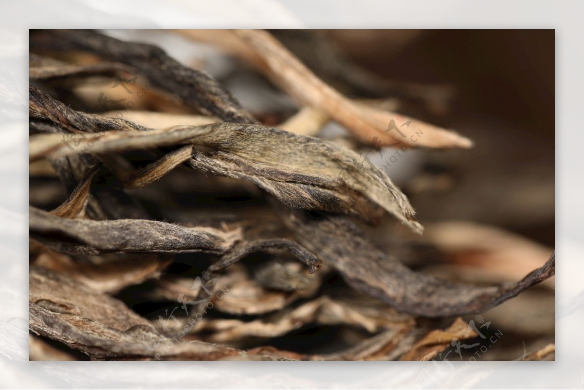 普洱茶生茶干茶