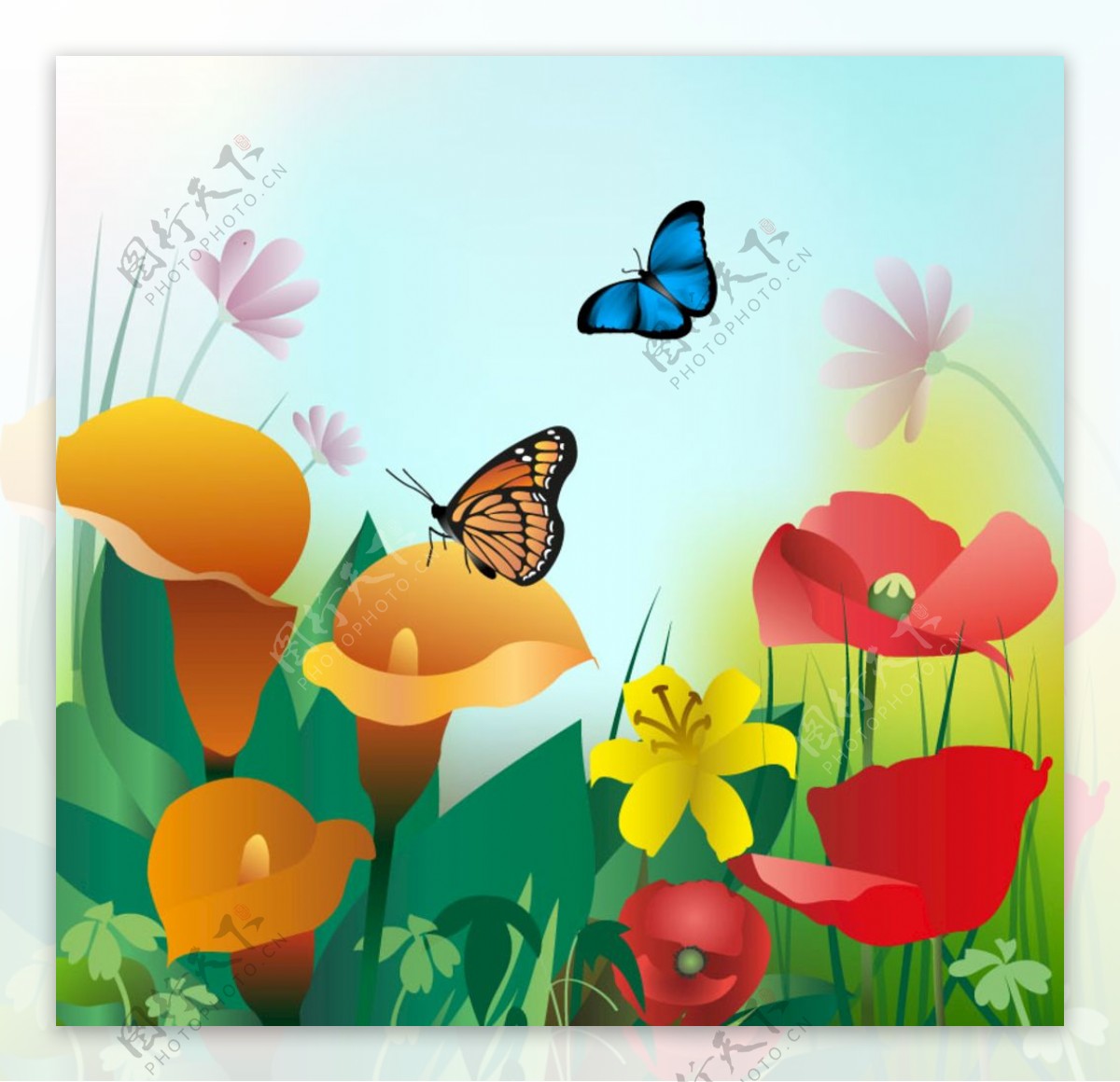 花朵上的蝴蝶插画