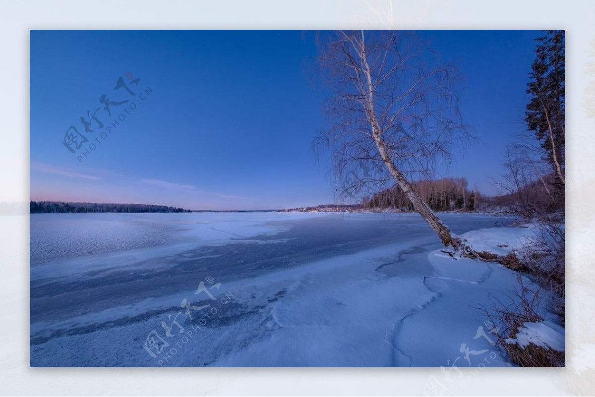 冬天大河结冰枯树风景