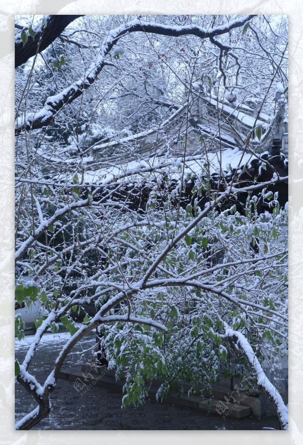 冬日初雪