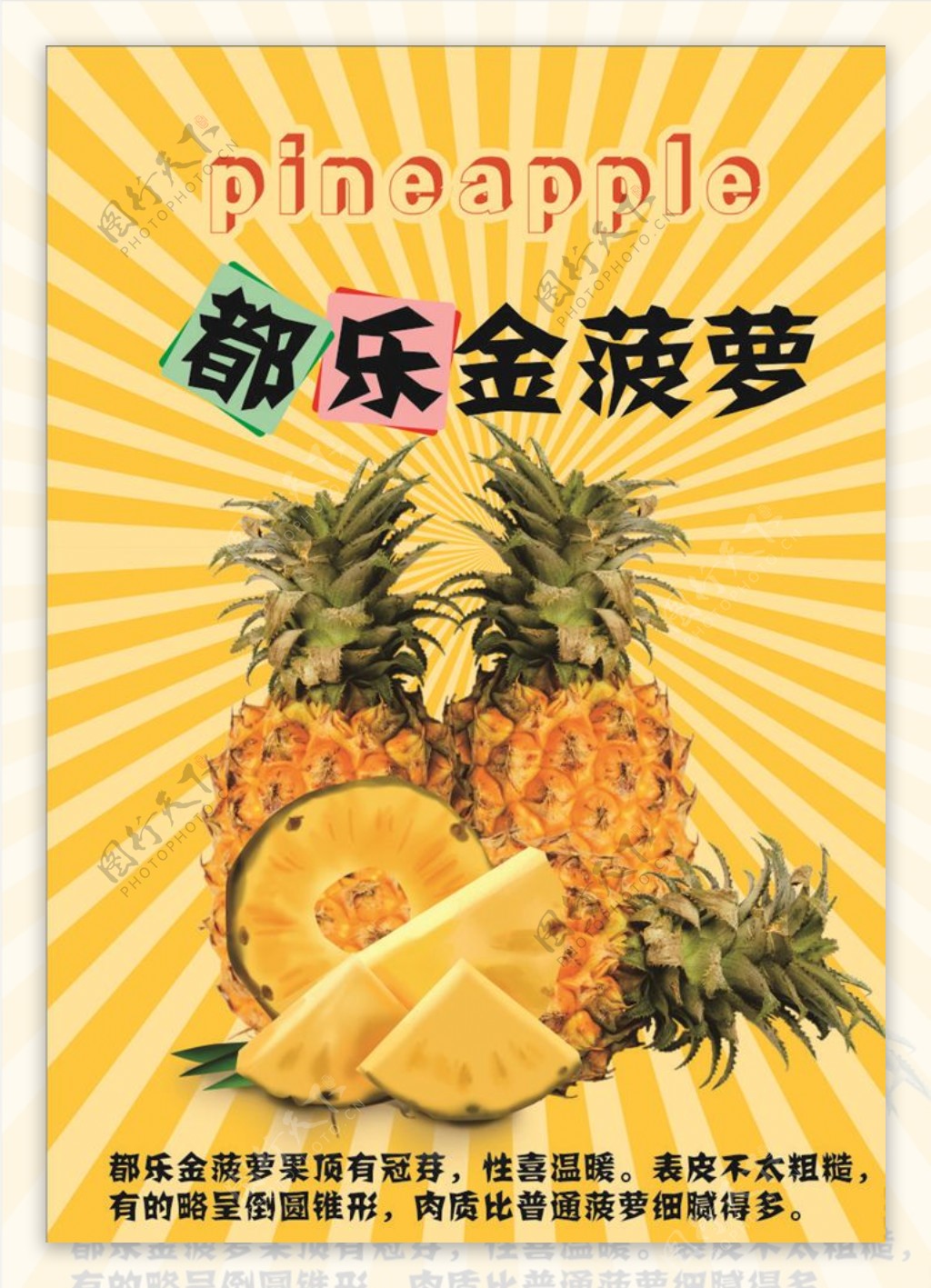 都乐金菠萝海报