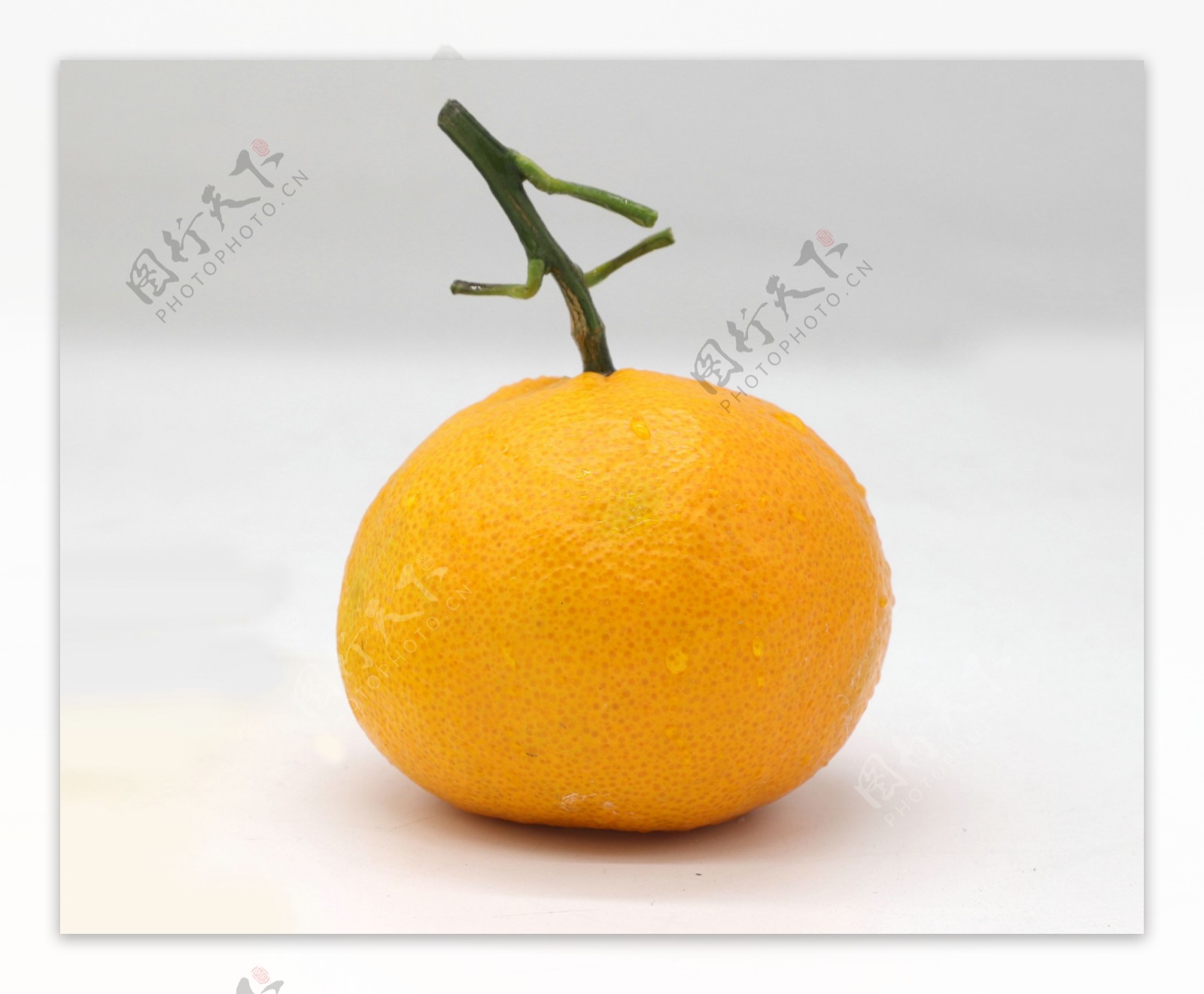 丑橘粑粑柑水果摄影图