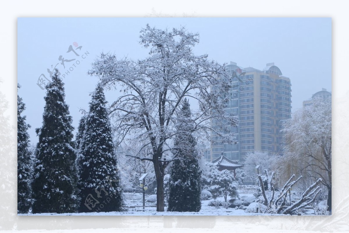 冬日雪景