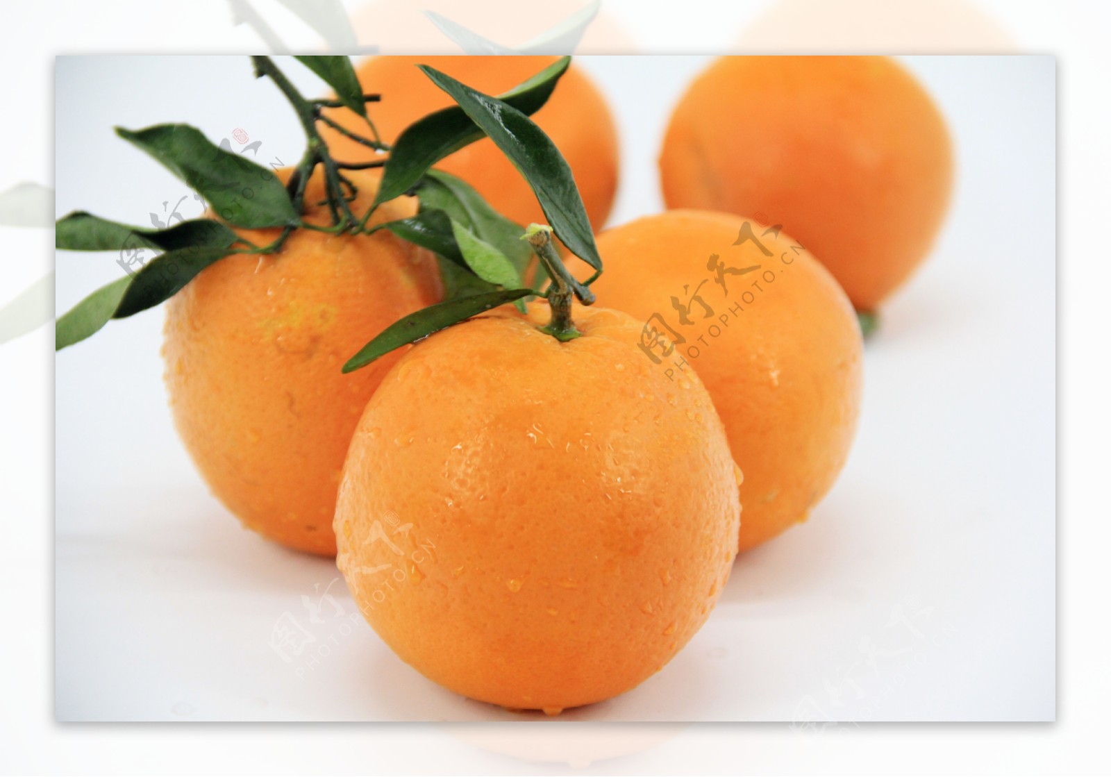 橙子水果橙
