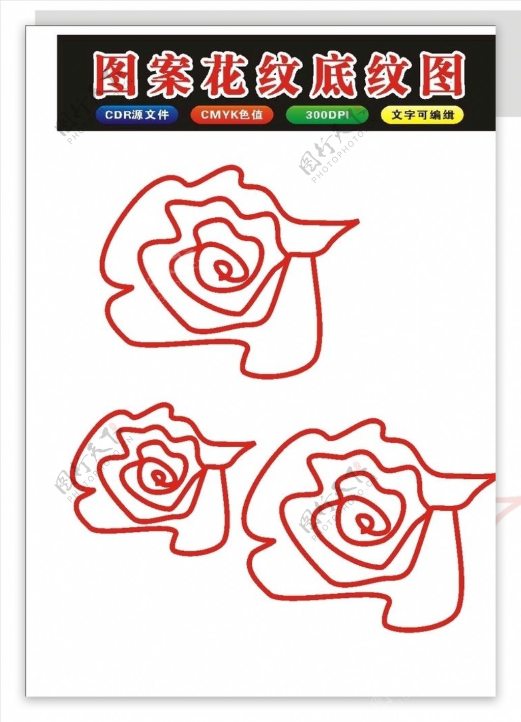 原创手绘玫瑰花和花原创