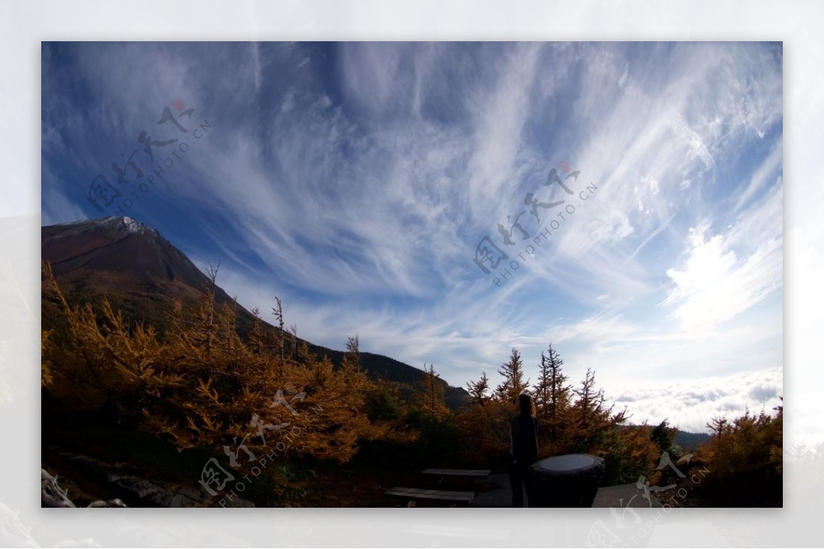 美丽的富士山