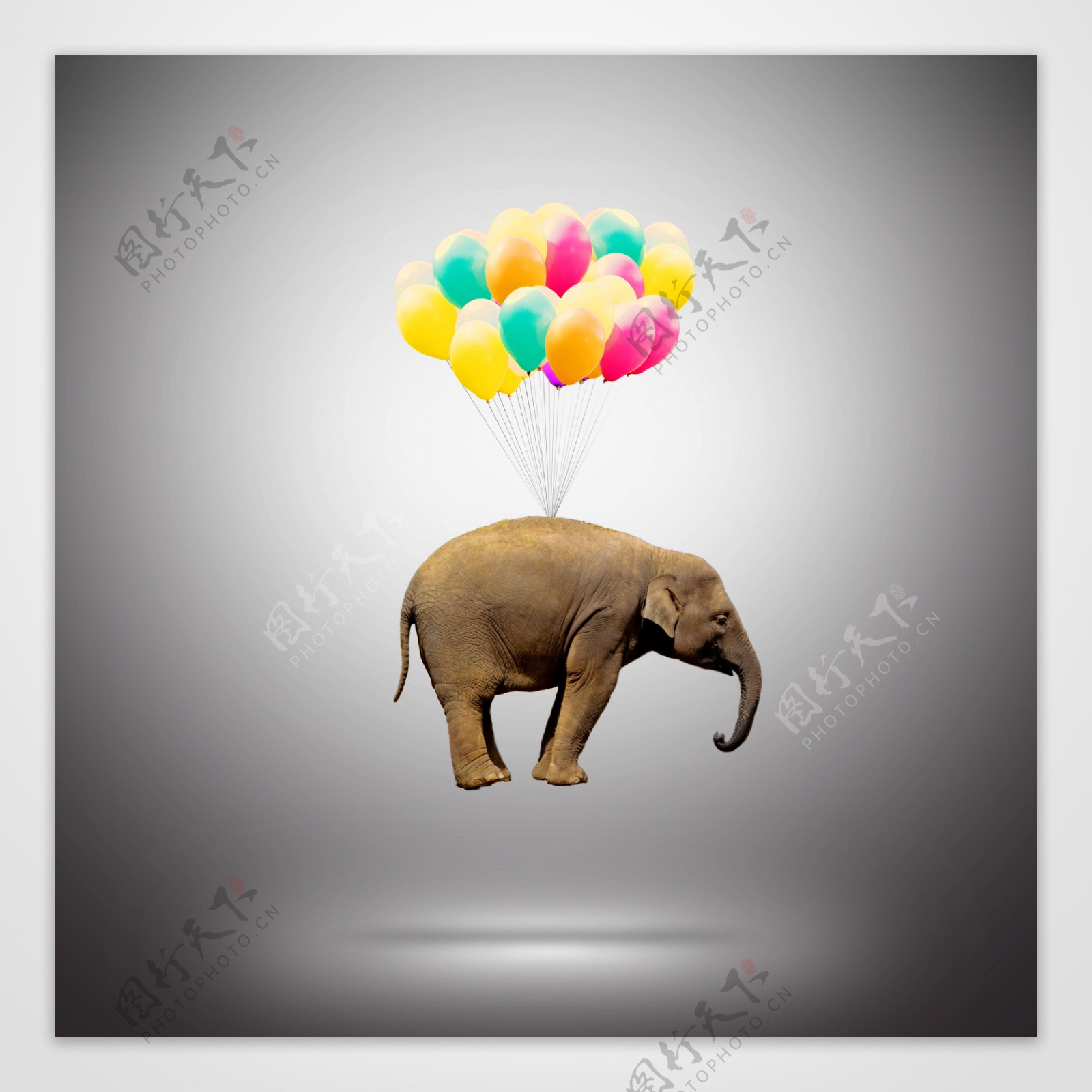 气球拉起的大象的成就概念