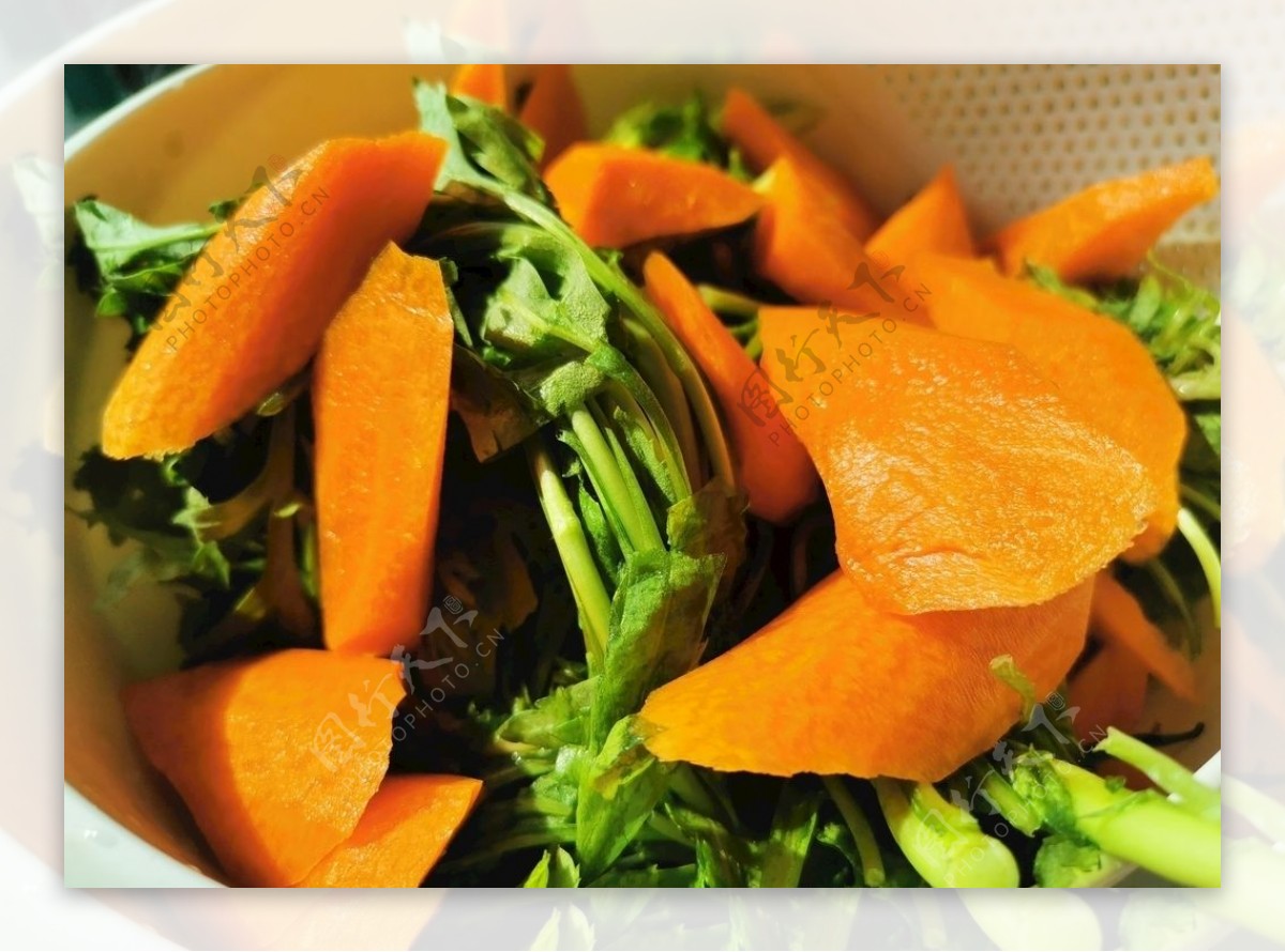 胡萝卜-中国蔬菜作物-图片