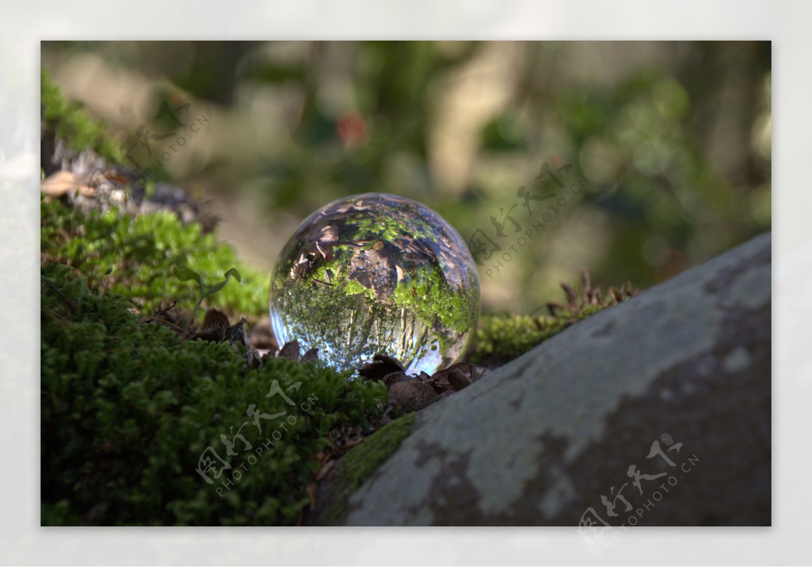 森林苔玻璃球球