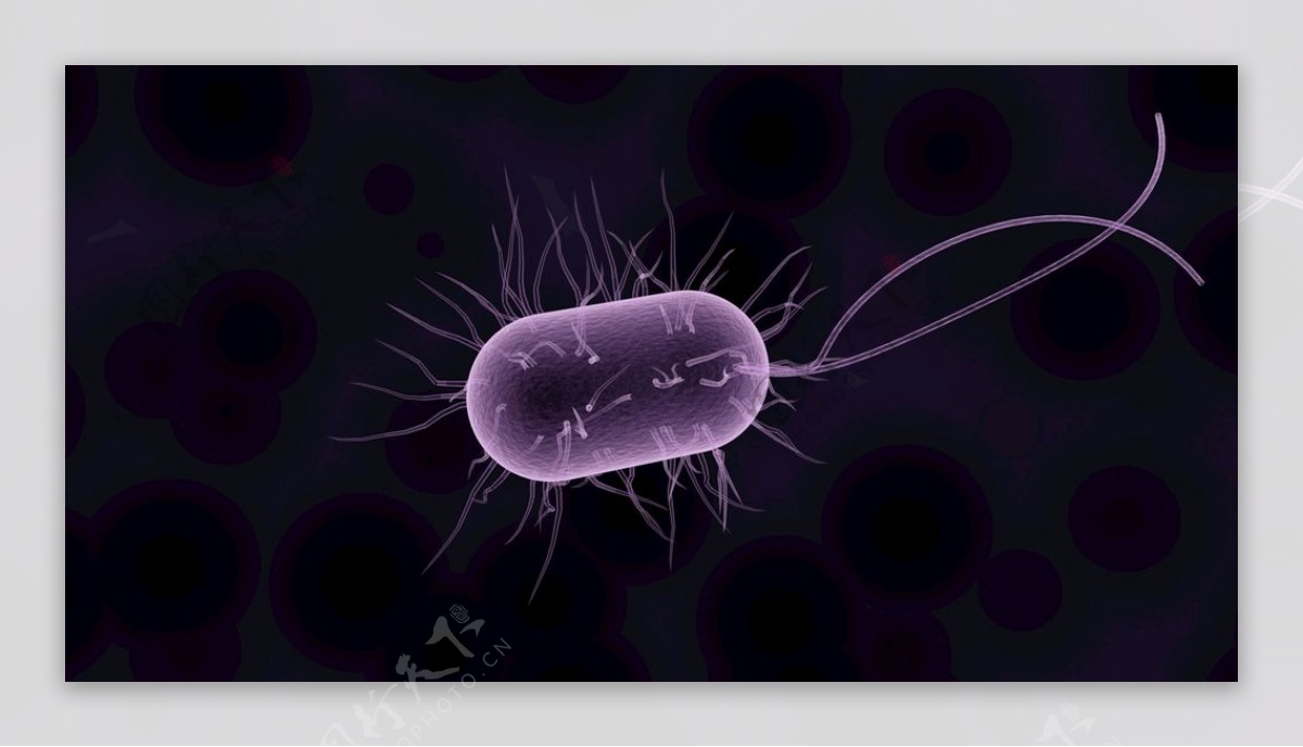 电子显微镜下的细菌微生物