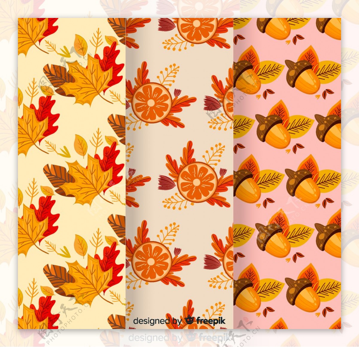 3款彩色秋季树叶橡子