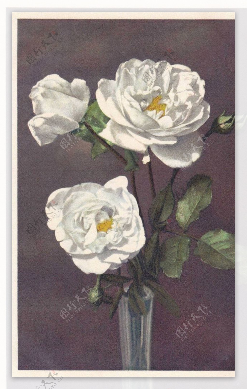古典静物花朵油画