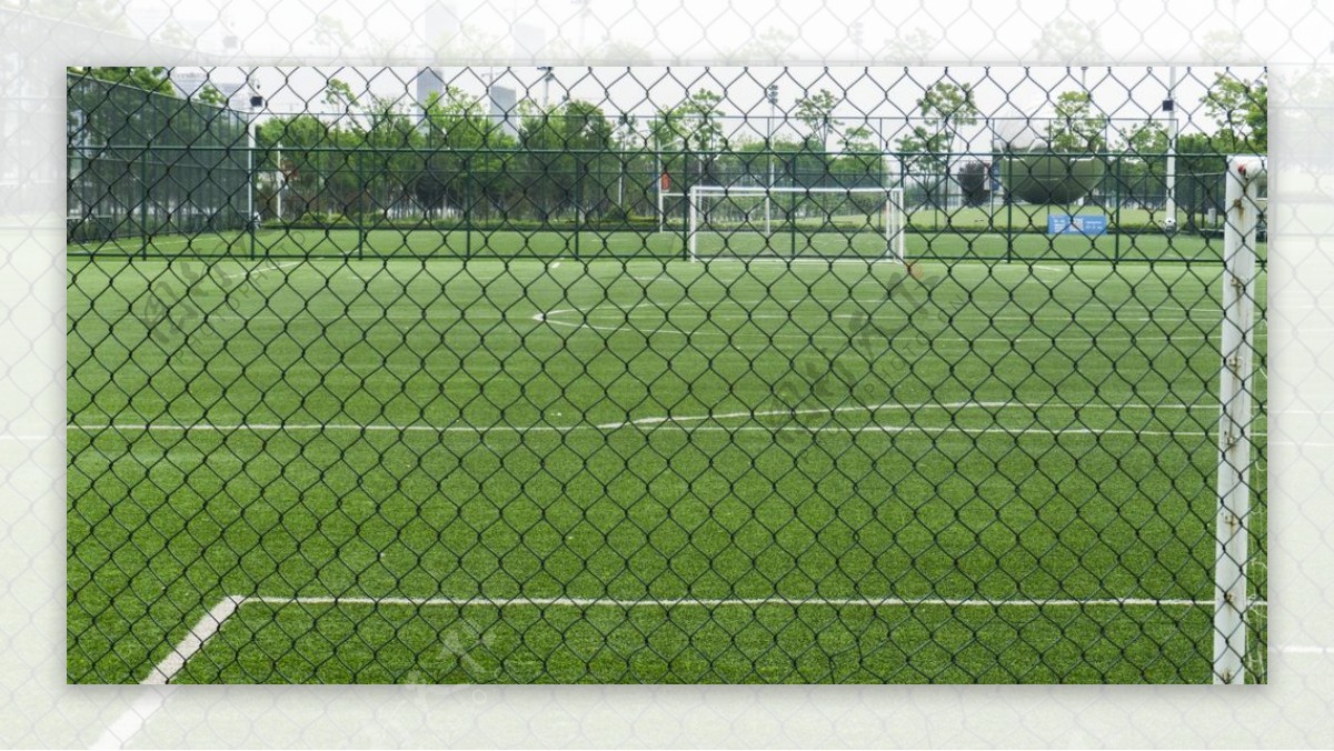 绿草茵茵的足球场