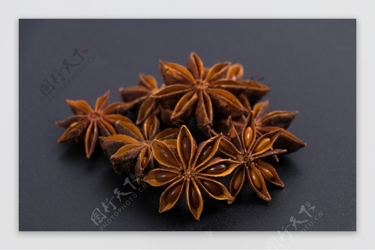海茴香花(Crithmum maritimum)照片摄影图片_ID:303459710-Veer图库