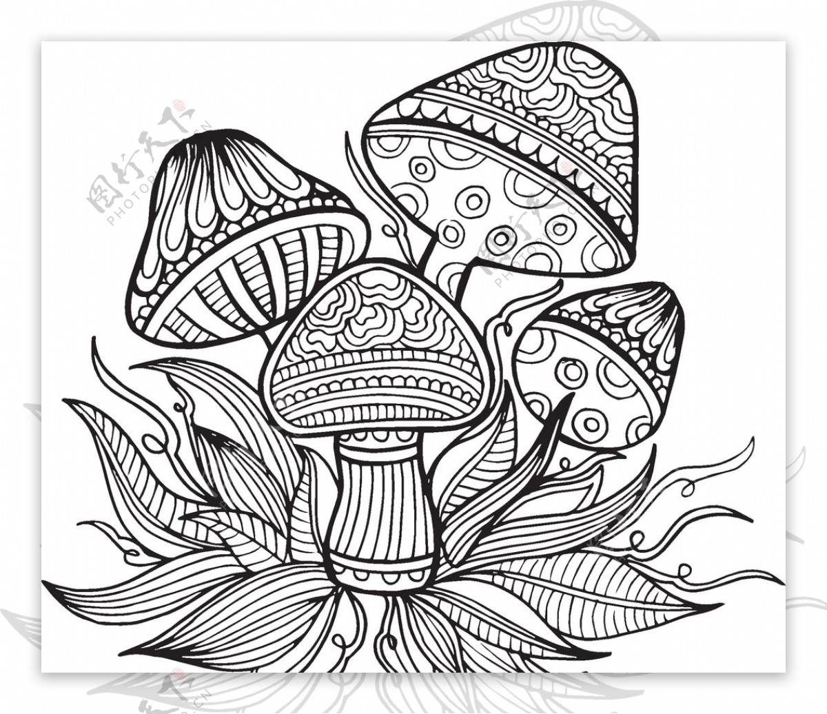 蘑菇素描