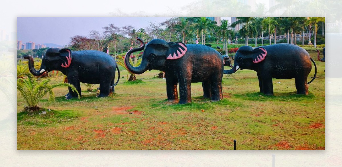公园里的大象