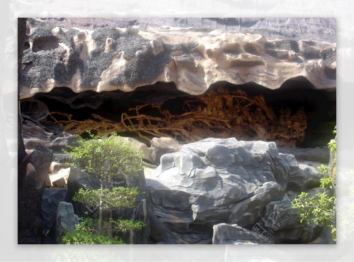 太湖文博园天然石洞树雕摄影