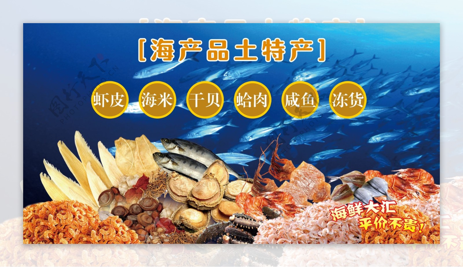 海虾种类大全（中国常见海虾盘点） – 碳资讯