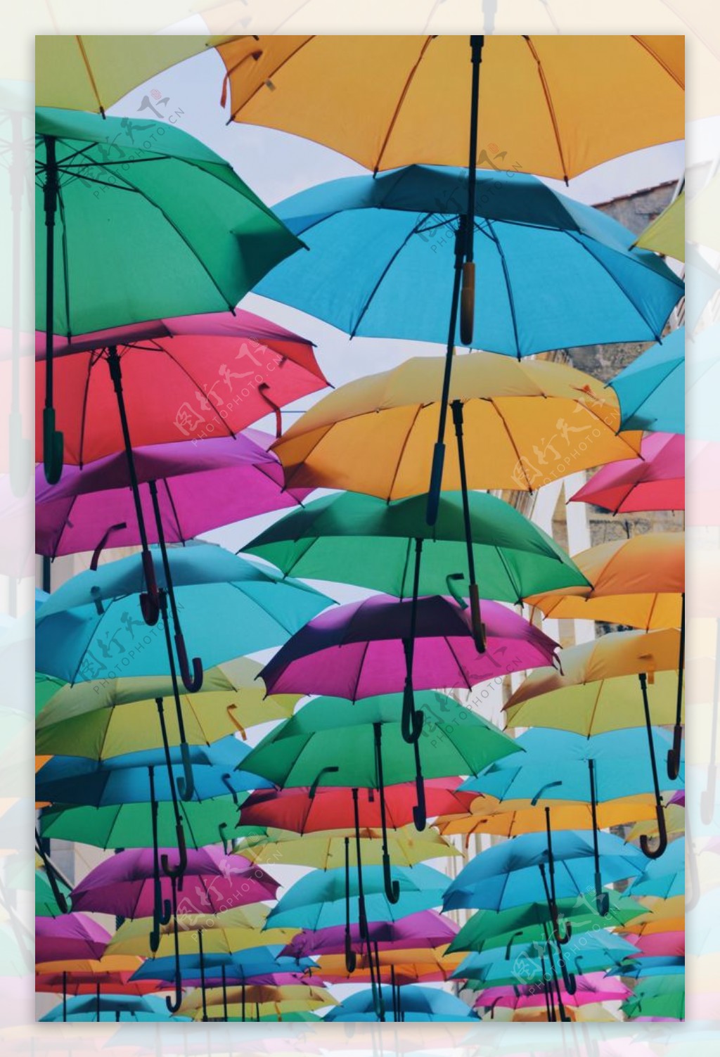 雨伞花伞遮阳伞折叠伞