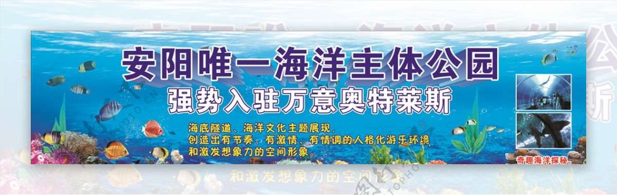 海洋世界海报