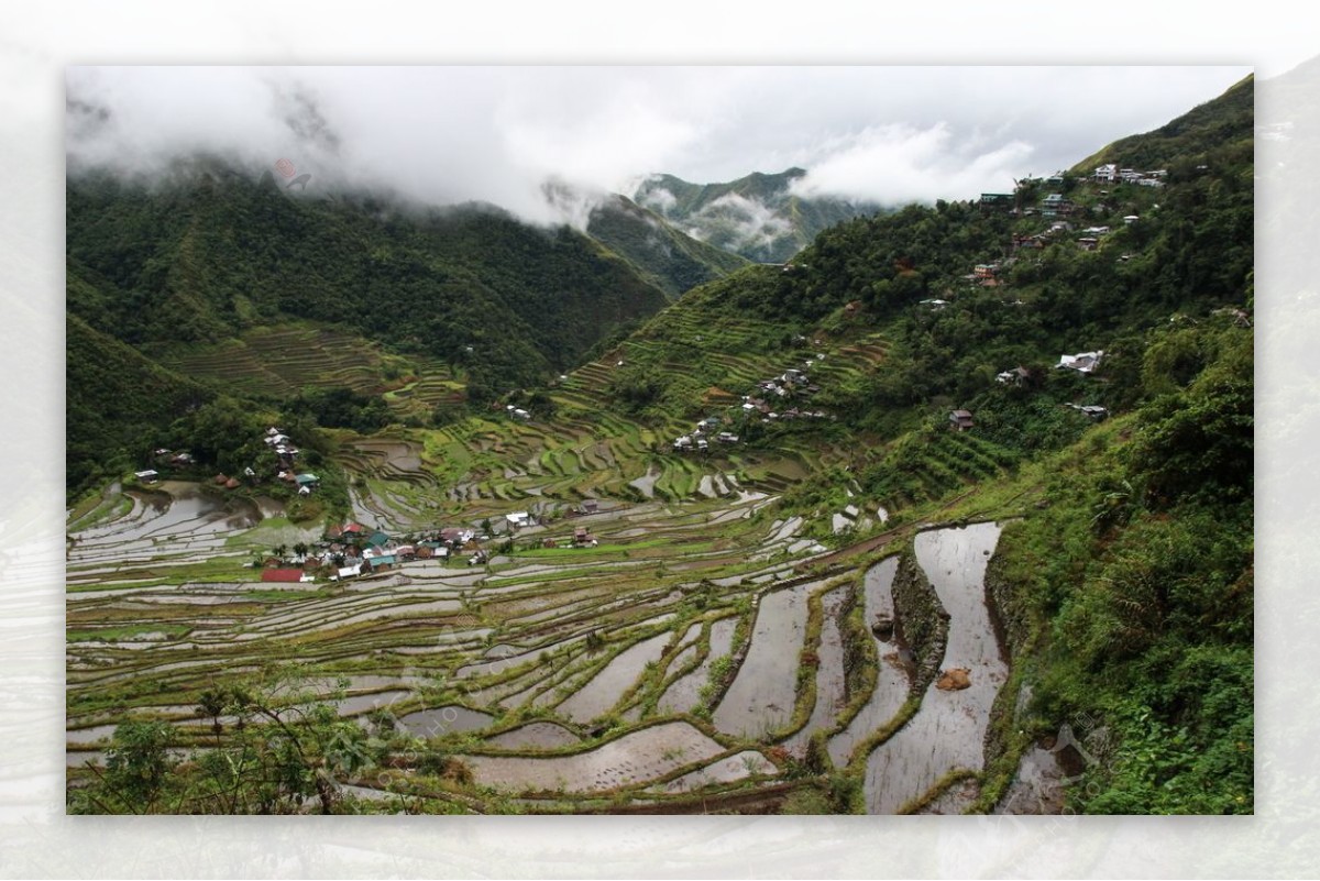 梯田唯美风景