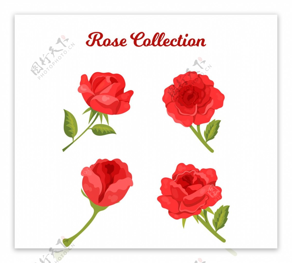 美丽红色玫瑰花矢量素材