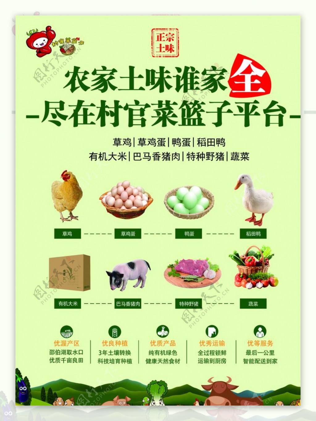 农家土味菜篮子海报