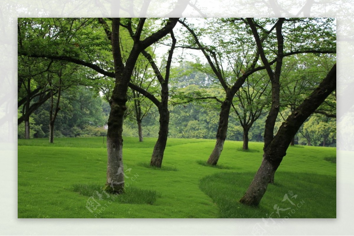 公园草地景观绿野仙踪太子湾