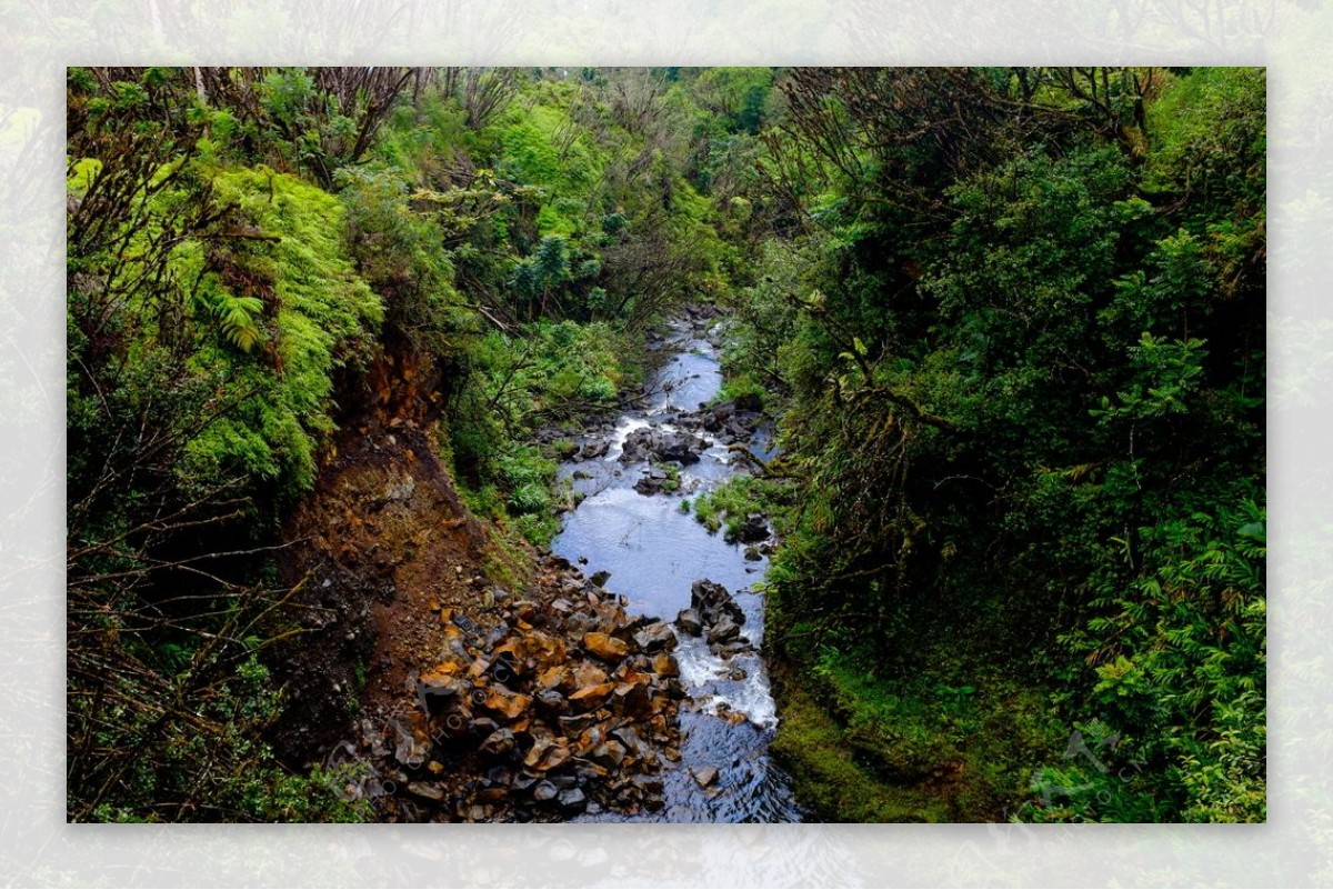 林间溪水山水风景