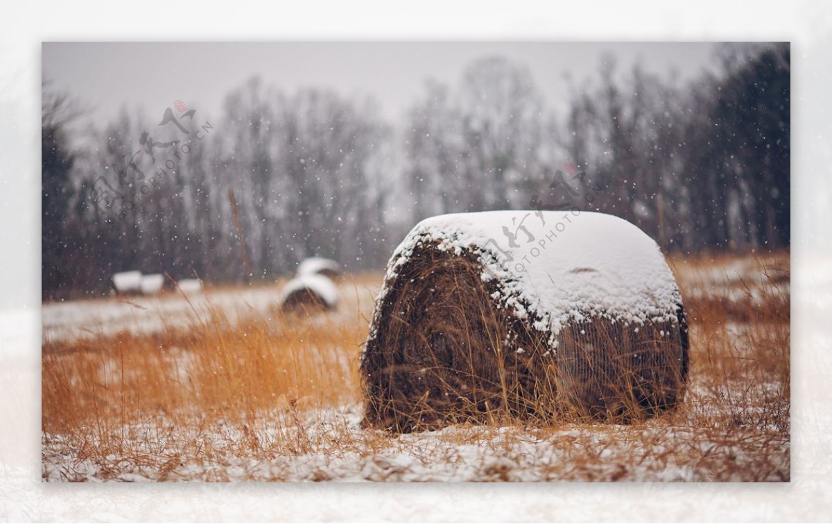 雪