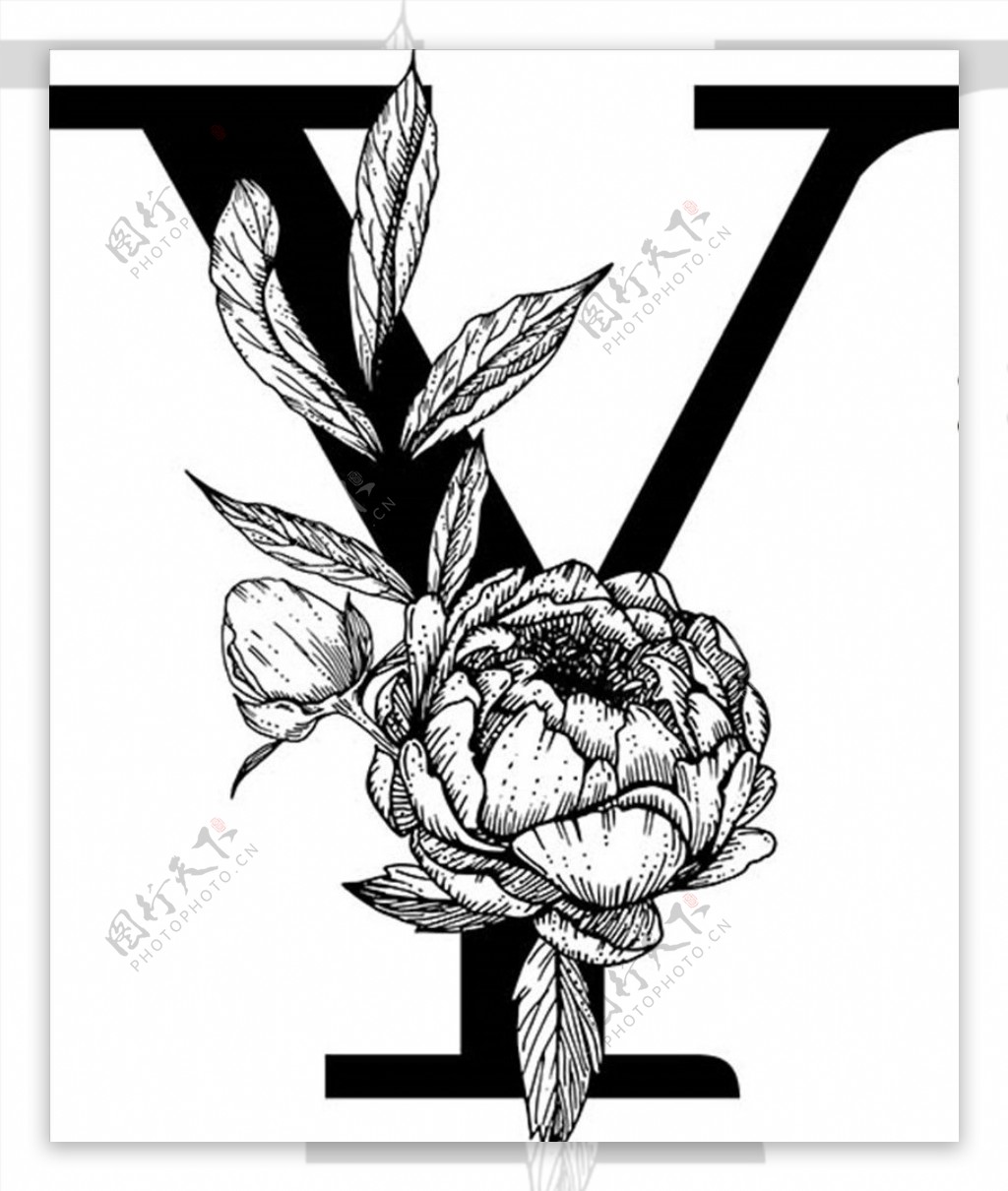 花卉装饰字母字母y