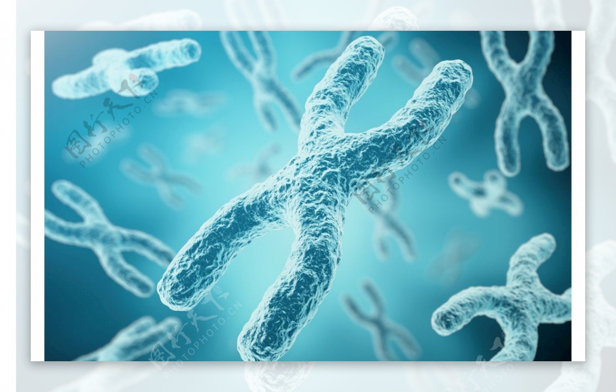 基因细胞图标生物科技