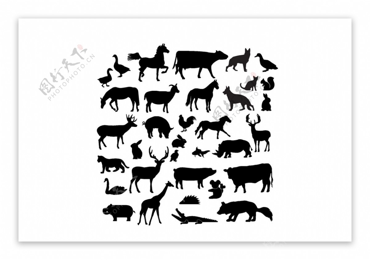 非洲人物动物剪影平面广告素材免费下载(图片编号:6172187)-六图网