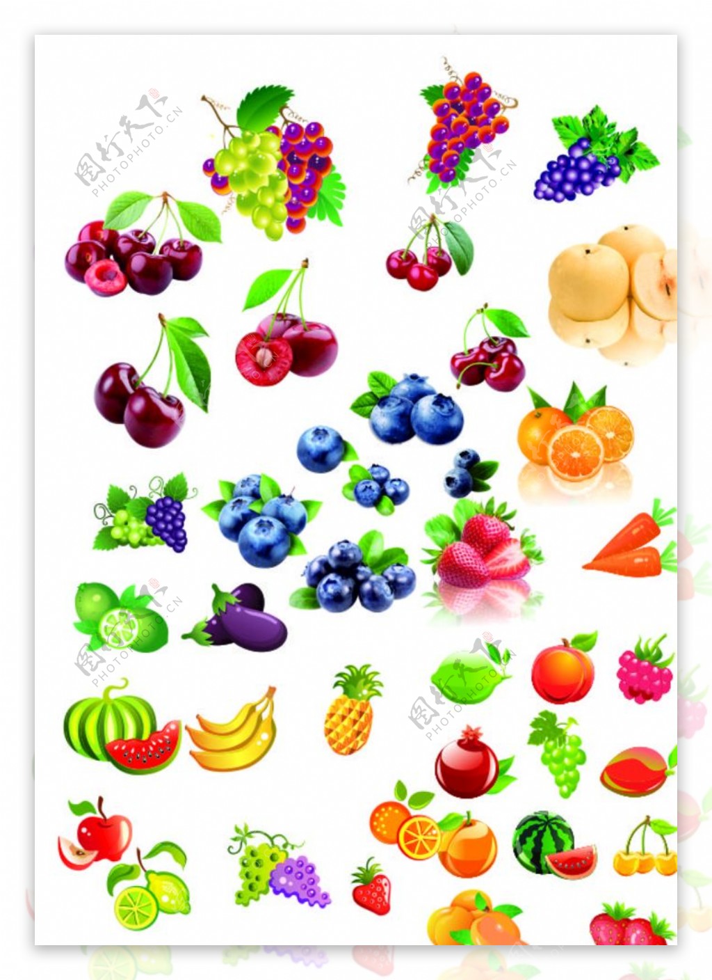 水果集合各种水果