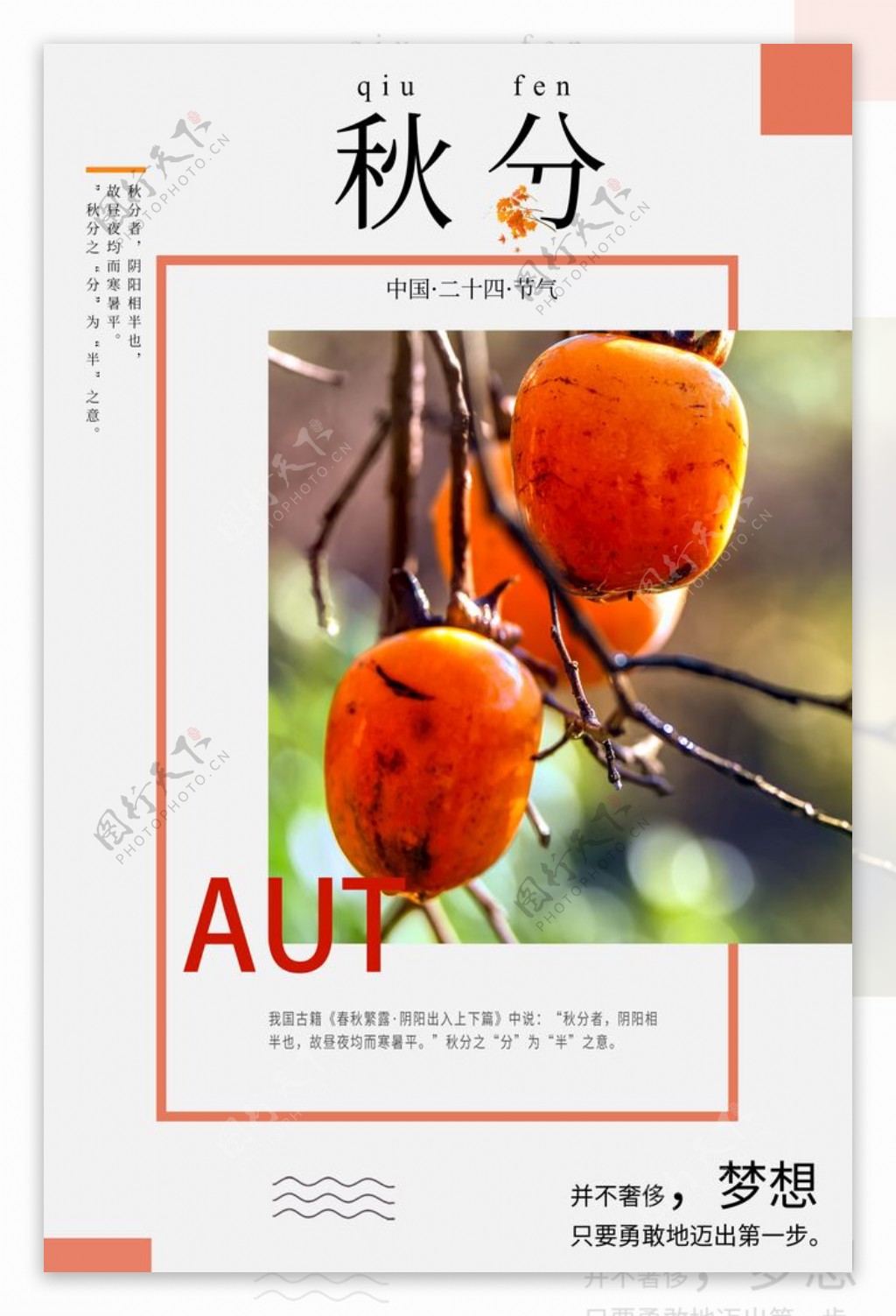 秋分柿子橙色简约海报