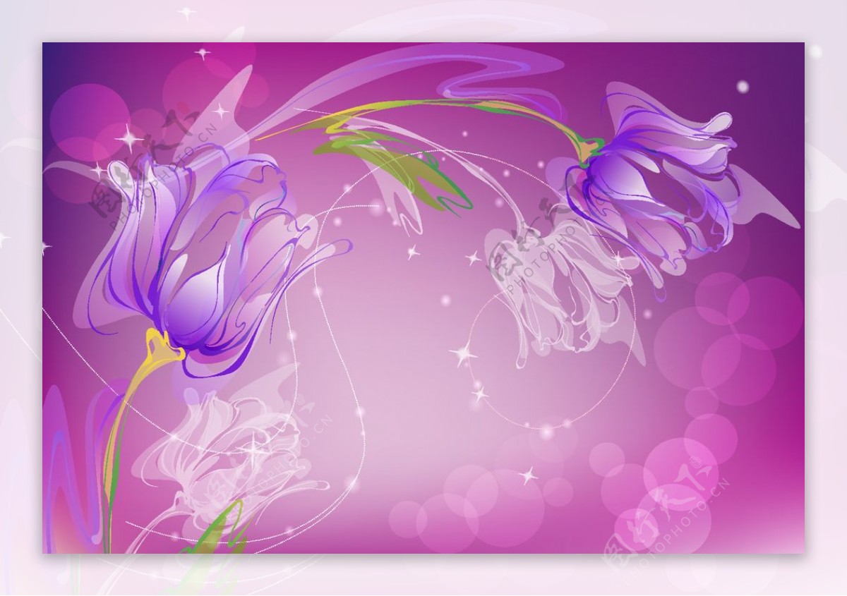 花纹纹理紫色玫瑰