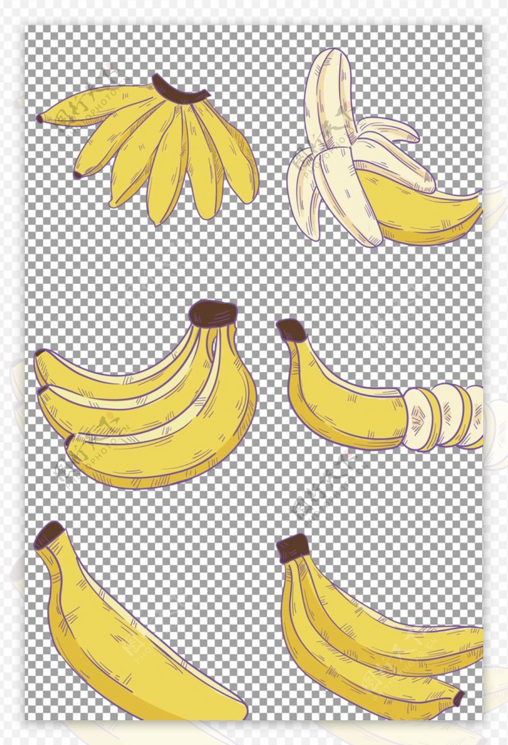 彩色手绘香蕉