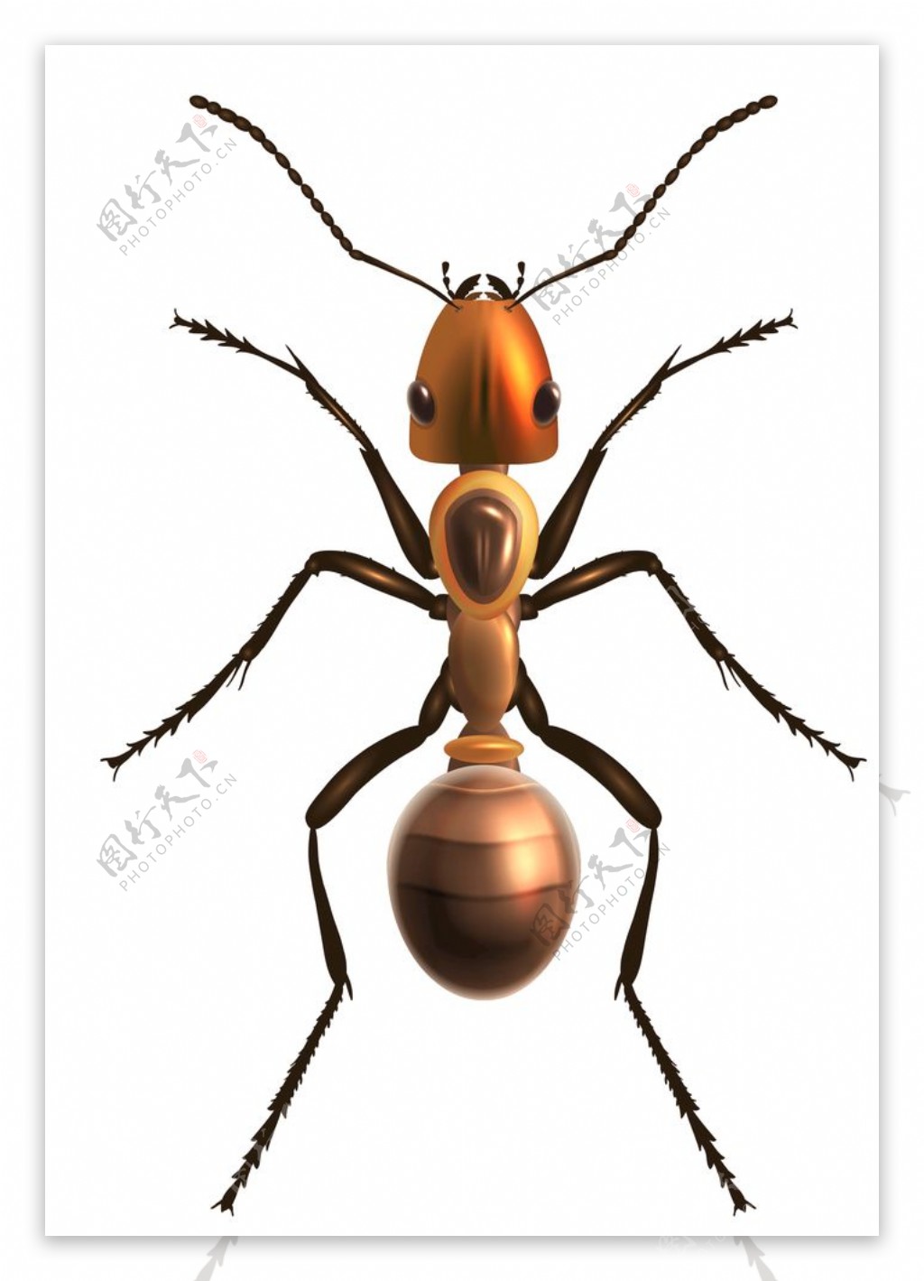 蚂蚁动物标志图标图形素材