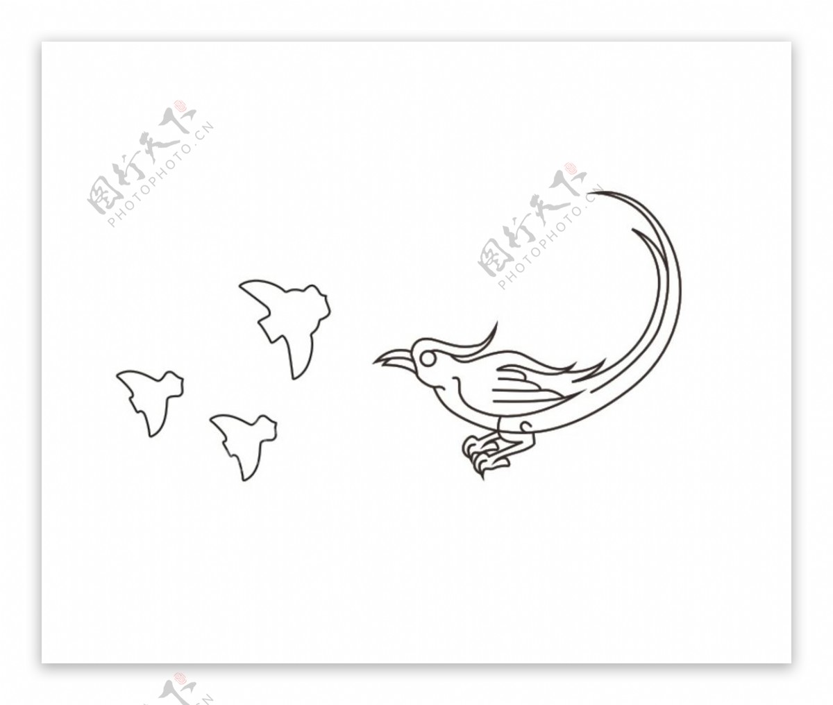 玉鸟线稿图片