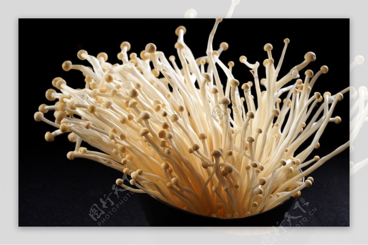 菌类食材图片