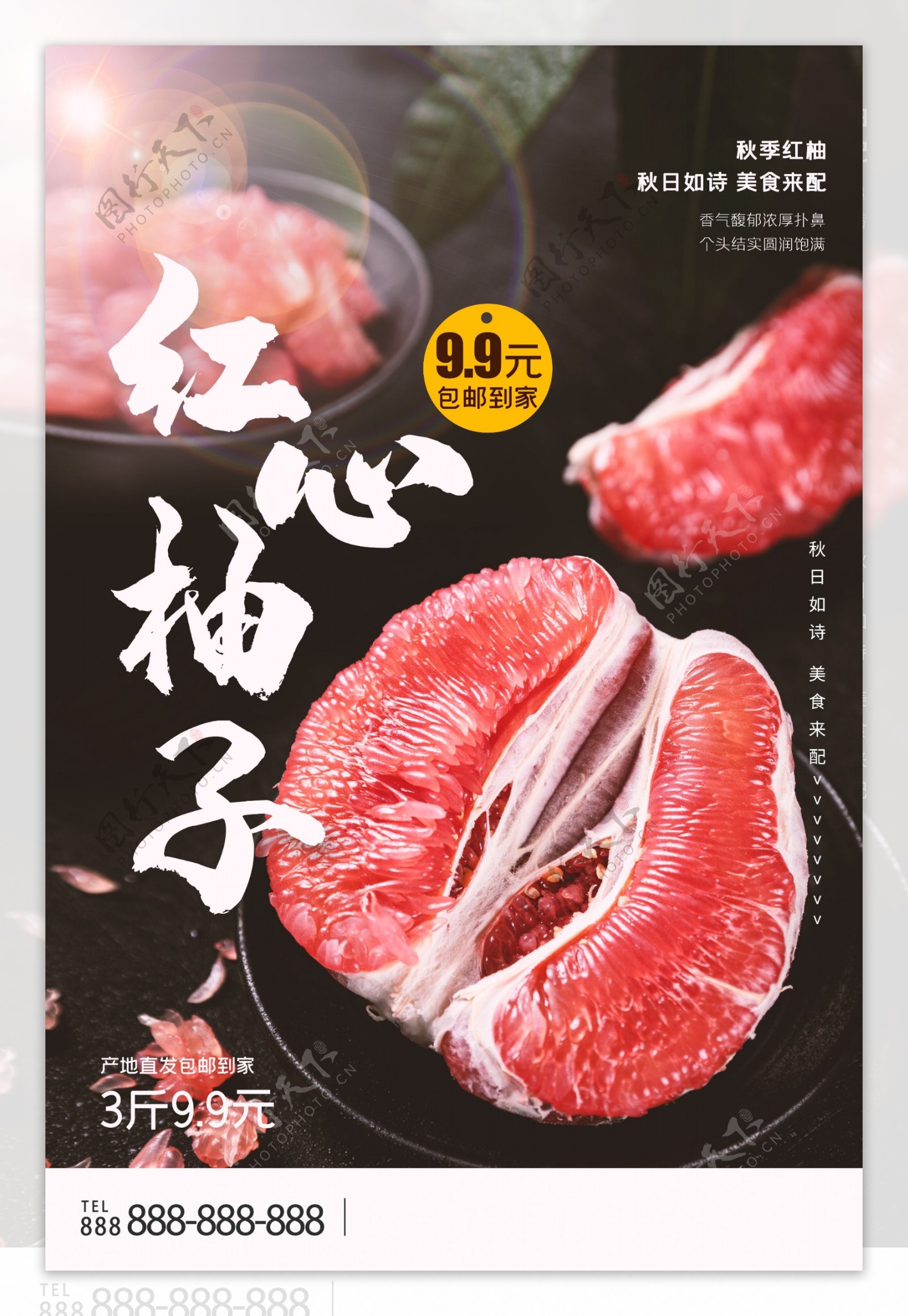 柚子海报图片
