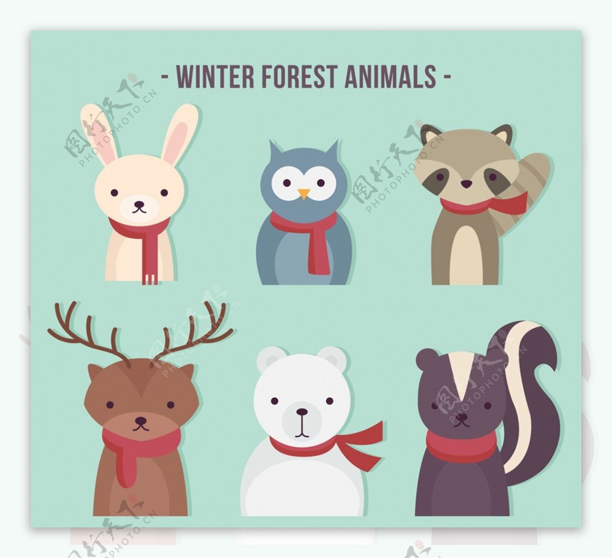 冬季森林动物图片