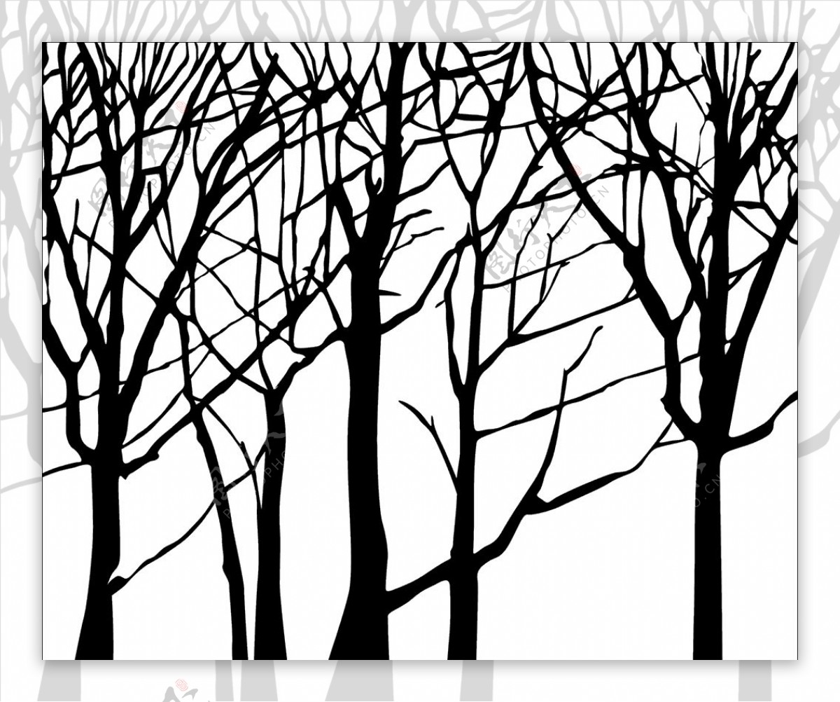 抽象树影图片