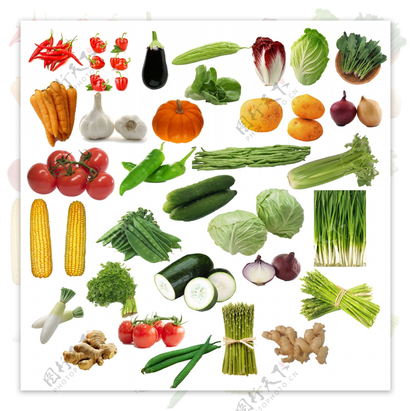 蔬菜图片